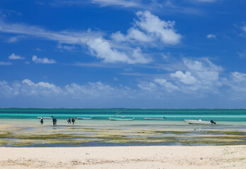 Fototapeta premium Tourists going diving at Anse Mourouk beach, Rodrigues Island, Indian Ocean, Mauritius, Africa