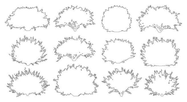 Vector set of shrubs and bushes in elevation view for use in architectural drawings