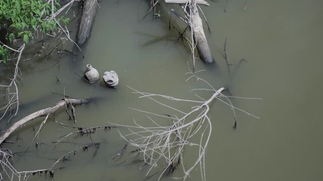 Trash and sewage plague the Tijuana River Valley, making air quality unbearable for residents along the US, Mexico border.