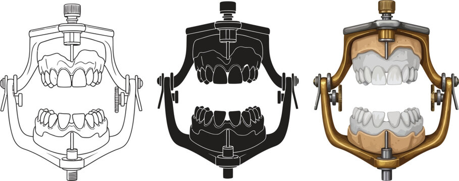 Dental articulator set with teeth models line art silhouette and realistic illustration for dental education and prosthetics
