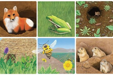 Fototapeta premium Wildlife in a Natural Habitat Shows Various Animals and Plants During a Sunny Day