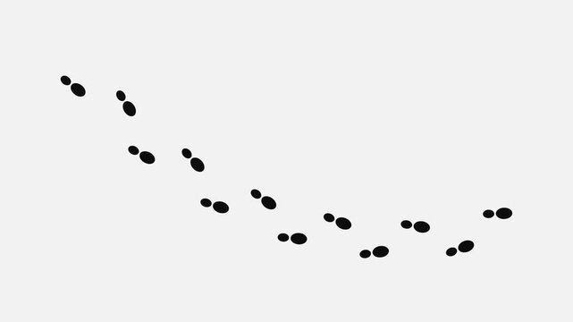 Tranquil Footprints Path: A minimalist design featuring delicate animal footprints, elegantly charting a subtle trajectory. The visual serenity inspires contemplation and reflection.