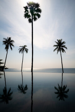 Reflections on palm trees in a swimming pool on the island of Koh Samui,  Thailand