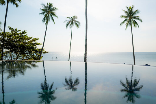 Reflections on palm trees in a swimming pool on the island of Koh Samui,  Thailand