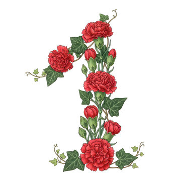 Vibrant red carnation flowers isolated on white background for decoration