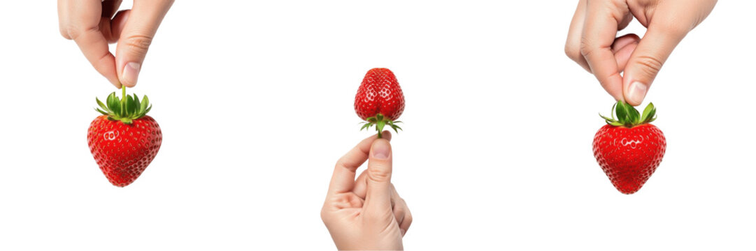 Hand holding a sliced strawberry Fragaria x ananassa cut berry Fresa troceada Fraise coupee cross-section red fruit pulp seeds organic healthy snack vitamin antioxidant berry nutrition art