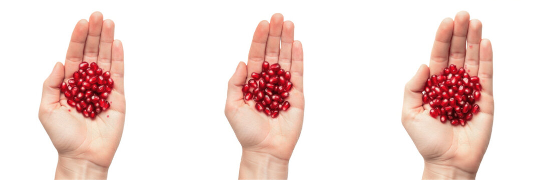 Hand holding pomegranate seeds in palm Punica granatum red arils Granos de granada Graines de grenade Granatapfelkerne organic fruit health nutrition antioxidant superfood fresh vitamin