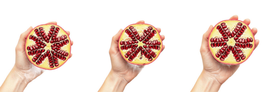 Hand holding a half pomegranate Punica granatum cut fruit Media granada Demi grenade Granatapfel half organic fruit health nutrition antioxidant superfood fresh vitamin C farm fresh produce