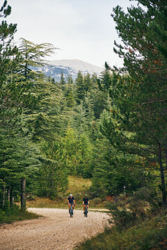Gravel Cyclists Riding Through Forest