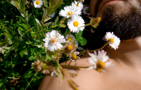Man Resting Among Daisies in a Sunlit Garden During Summer