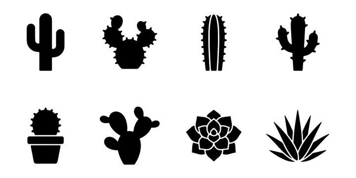 Set of cactus and succulent icons, desert plants silhouettes