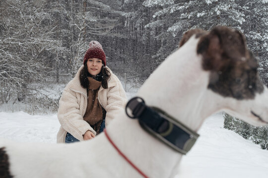 Greyhound dog and owner play in snow during winter weather