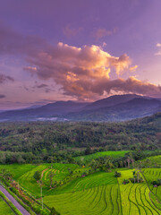 Fototapeta premium Beautiful morning view in Indonesia, panoramic landscape of rice fields with mountain ranges and clear sky