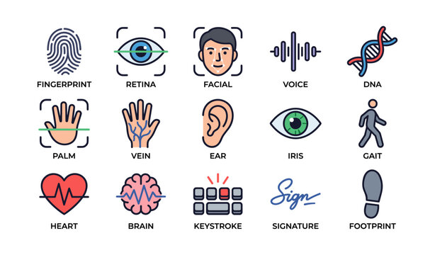 Biometric symbols arranged in grid on white background