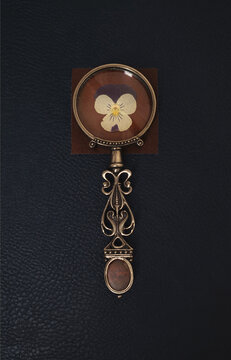 magnifying glass with a dried flower