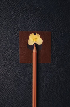 Brown pencil beside a flower cutout on blue leather surface