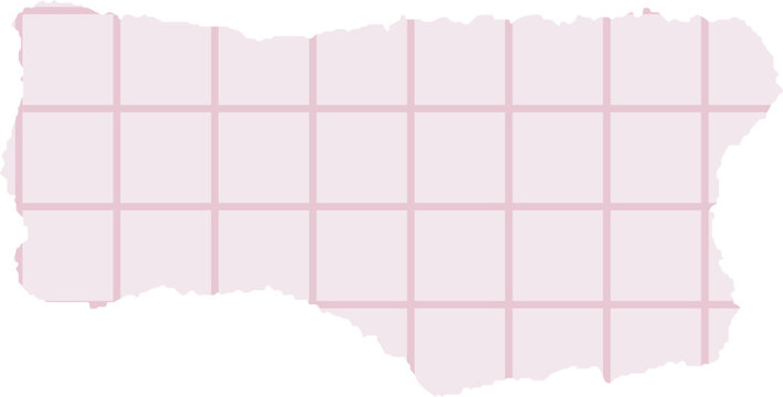 Torn Paper with Grid Lines