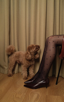 Legs in black tights with heart patterns resting on a wooden floor