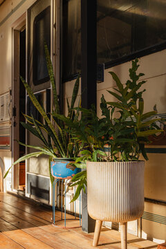 Potted plants at the entrance of a camper van illuminated by sunlight.