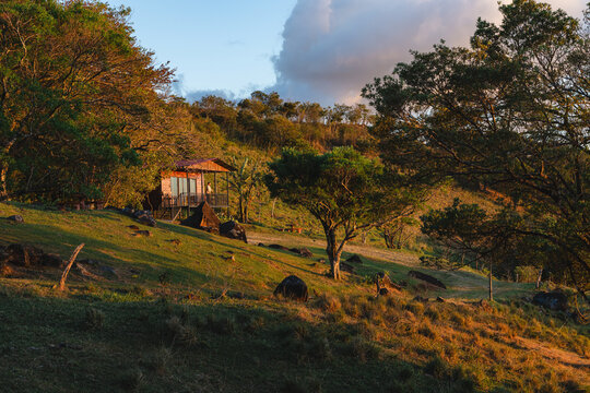 Cabin on hillside surrounded by trees during sunset