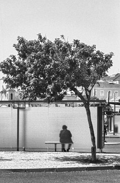 Lone Figure Under Tree