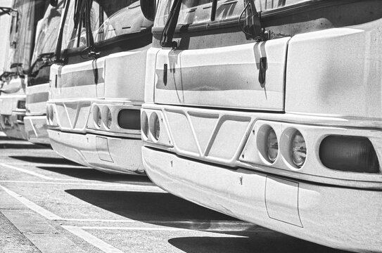 Parked Buses in Sunlight
