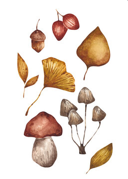 Autumn leaves and mushrooms