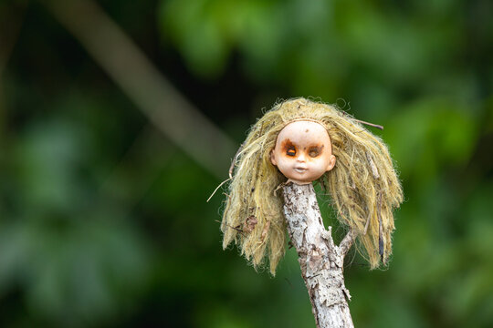 Creepy doll head on a stick in nature