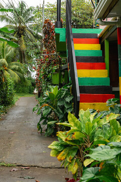 Colorful stairs leading to a tropical island path