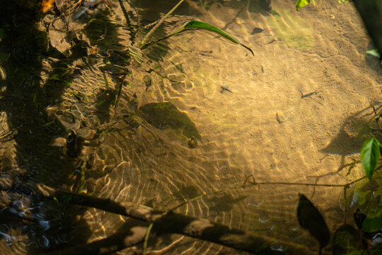 Sunlight reflecting on clear shallow water with ripples
