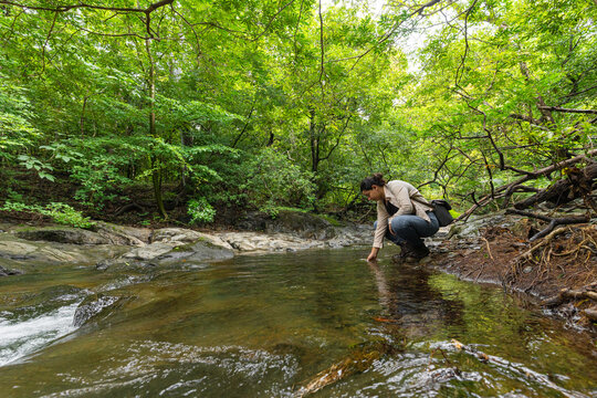 Woman exploring nature touching fresh stream water