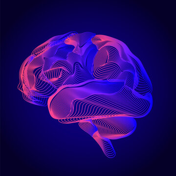 Abstract Neon Brain Waves Digital Illustration. Colorful flowing lines forming a human brain shape, representing neural activity, creativity, and modern digital science on a dark background.