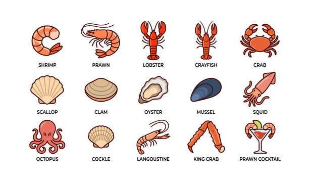 Seafood icons showing shellfish and crustaceans on white