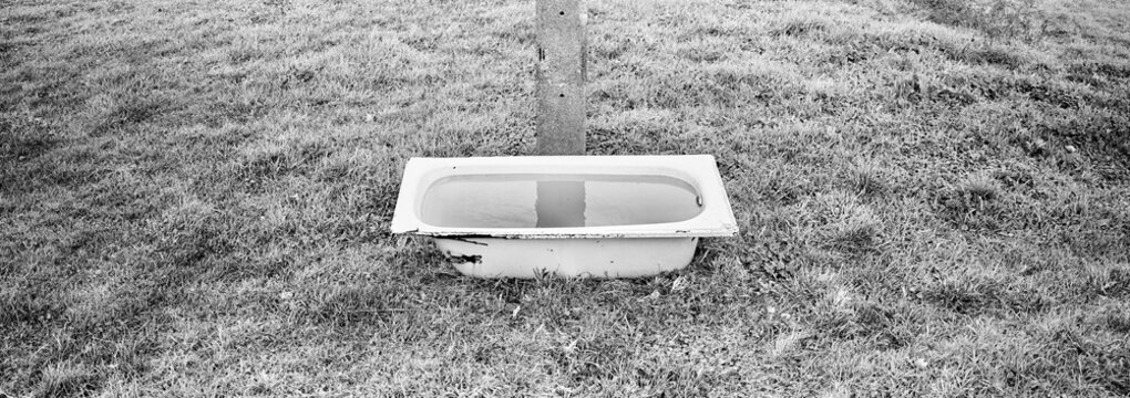 Bathtub filled with water standing in grass field