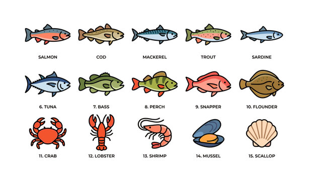 Fish illustrations identifying species and shellfish in rows