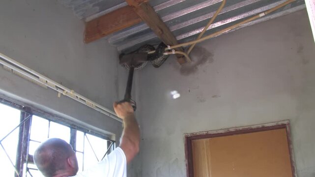 men carefully handle a massive African rock python From house Indoor Ceiling in a rural Botswana setting