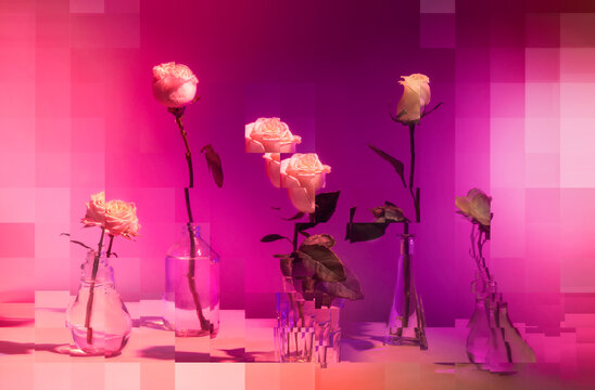 Still life with roses in vases against pixelated glass with pink light