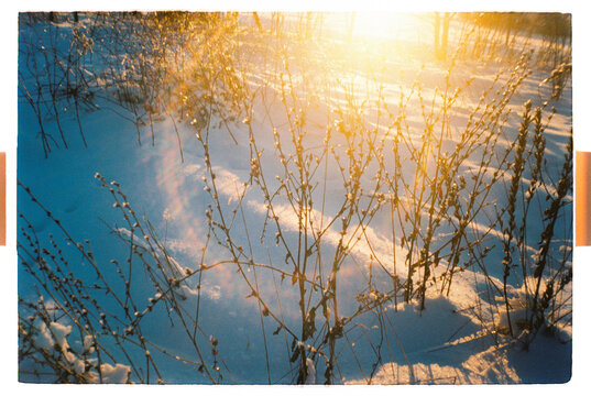 Golden Winter Sunlight Over Frosted Grass in Snow