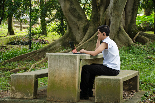 Man Works on Laptop at Park Table During Sunny Day