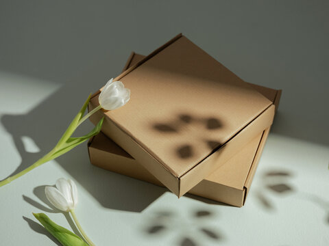 Two cardboard boxes with white tulips and dappled light