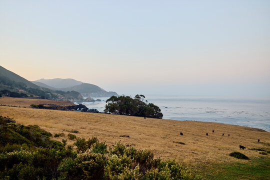 Coastal View in Big Sur, California