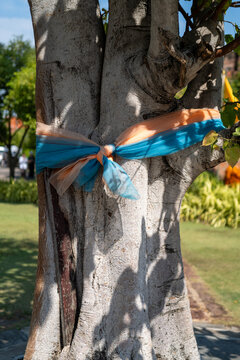 A blessed tree in the grounds of a Thai temple.