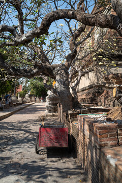 Wat Phra Si Sanphet temple details.