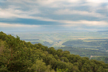 Fototapeta premium Summer Mountains Landscape with Green forest.