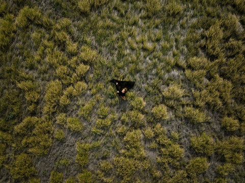 Top Down View Woman in Black Dress Lying in Grass  Field