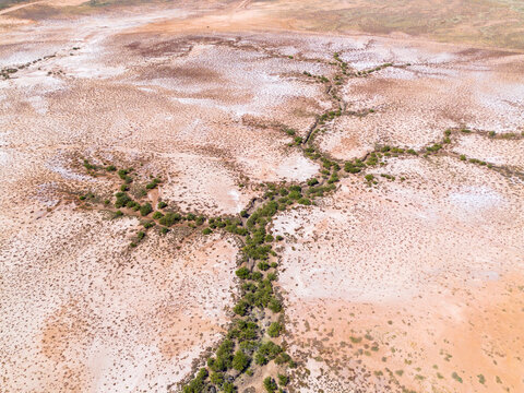 Tree shaped river. Pardoo Creek. Port Hedland. Western Australia.