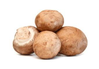Fototapeta premium Common mushrooms on white background