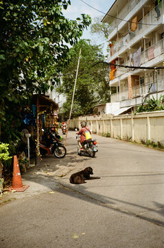Thonburi, Bangkok
