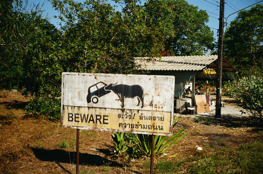 Beware of Buffalo