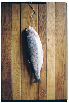 Fresh organic salmon hanging against a wooden wall